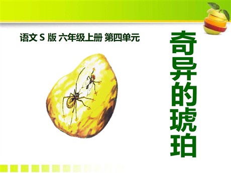 《奇异的琥珀》PPT课件