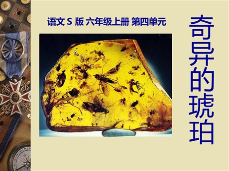 《奇异的琥珀》PPT课件2