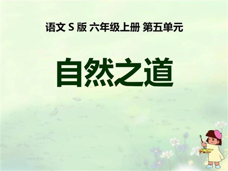 《自然之道》PPT课件9