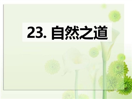 《自然之道》PPT课件10