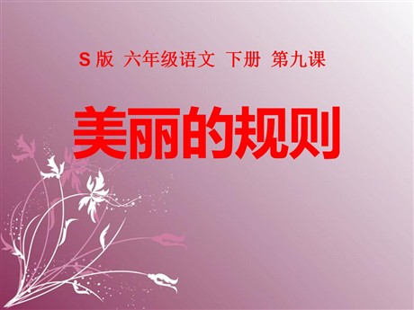 《美丽的规则》PPT课件3