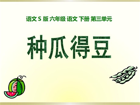 《种瓜得豆》PPT课件2