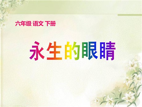 《永生的眼睛》PPT课件7