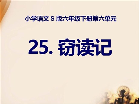 《窃读记》PPT课件11