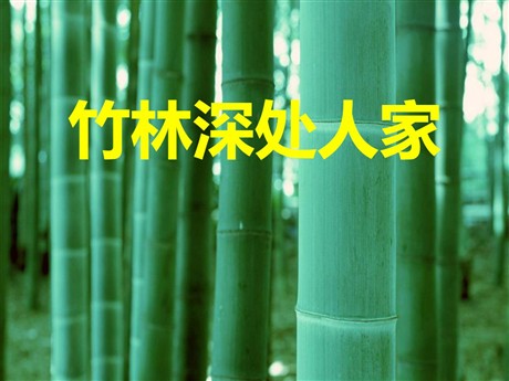 《竹林深处人家》PPT课件