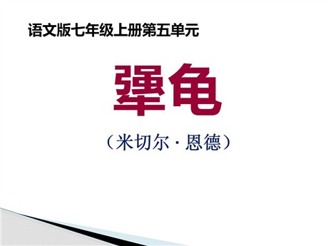 《犟龟》PPT课件2