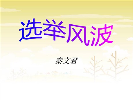 《选举风波》PPT课件2