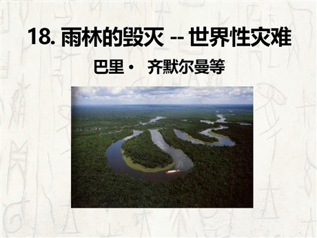 《雨林的毁灭——世界性灾难》PPT课件