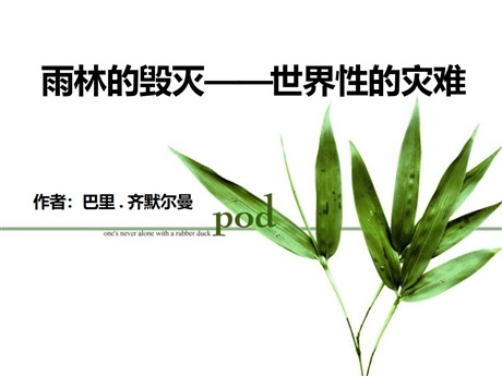 《雨林的毁灭——世界性灾难》PPT课件3