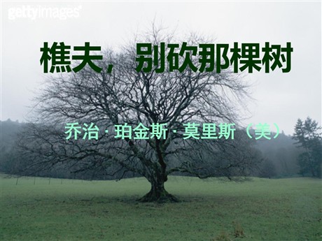 《樵夫-别砍那棵树》PPT课件