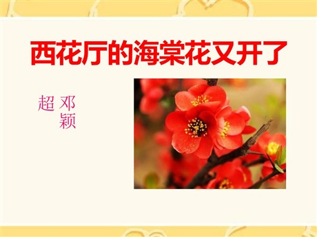 《西花厅的海棠花又开了》PPT课件3