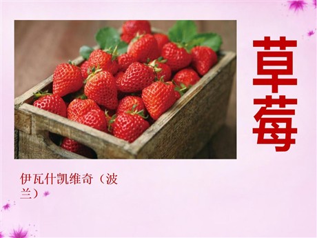 《草莓》PPT课件