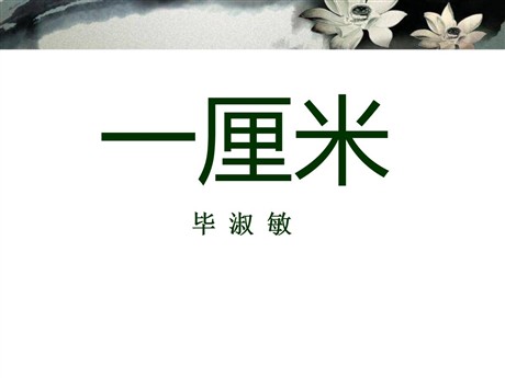《一厘米》PPT课件6