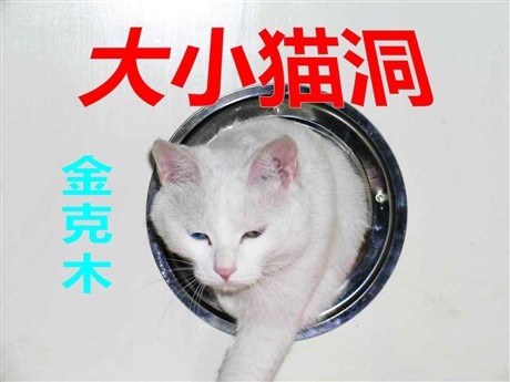 《大小猫洞》PPT课件