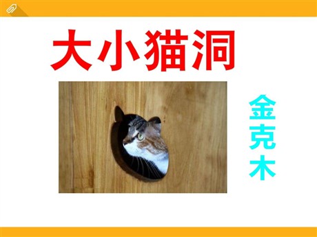《大小猫洞》PPT课件3