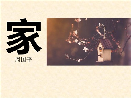《家》PPT课件11