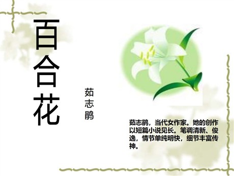 《百合花》PPT课件2