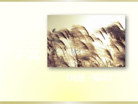 《蒹葭》PPT课件8