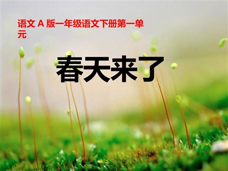 《春天来了》PPT课件2