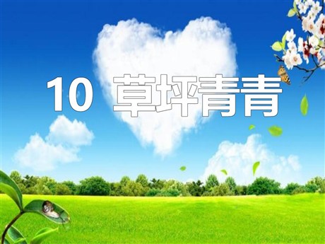 《草坪青青》PPT课件2