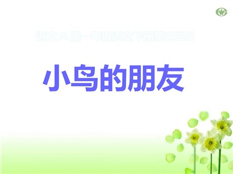 《小鸟朋友》PPT课件