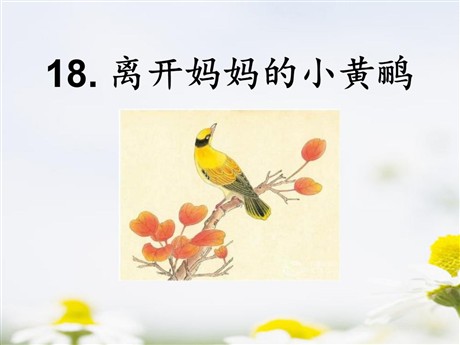 《离开妈妈的小黄鹂》PPT课件2