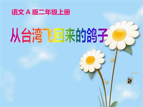 《从台湾飞回来的鸽子》PPT课件
