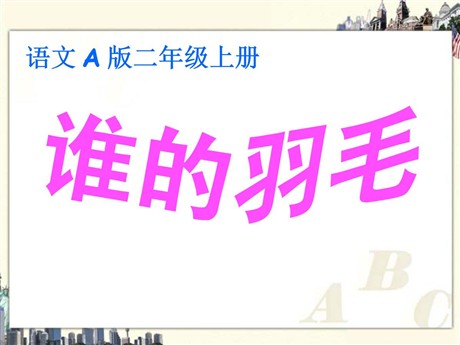 《谁的羽毛》PPT课件