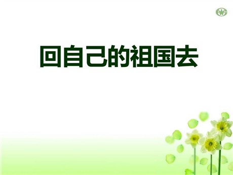 《回自己的祖国去》PPT课件6