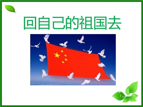 《回自己的祖国去》PPT课件7