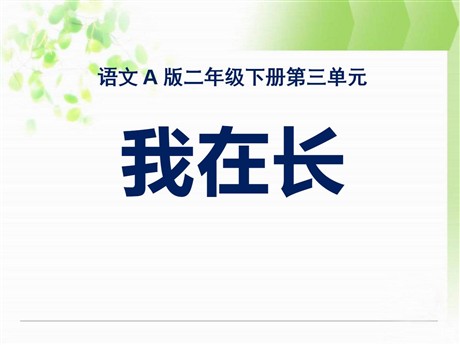 《我在长》PPT课件