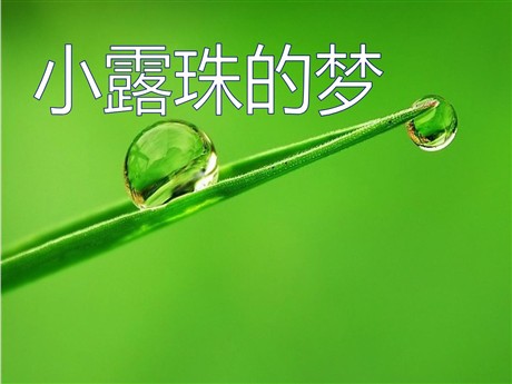《小露珠的梦》PPT课件