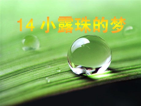 《小露珠的梦》PPT课件2
