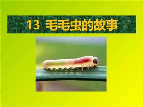 《毛毛虫的故事》PPT课件