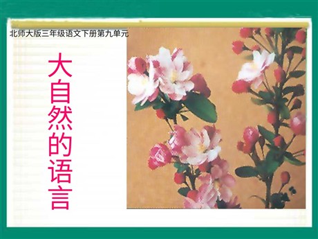 《大自然的语言》PPT课件3