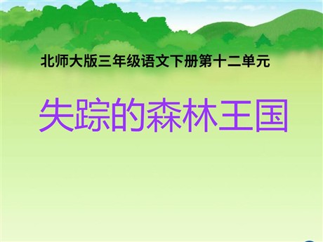 《失踪的森林王国》PPT课件
