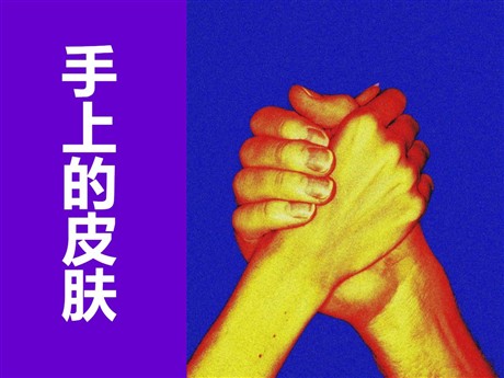 《手上的皮肤》PPT课件2