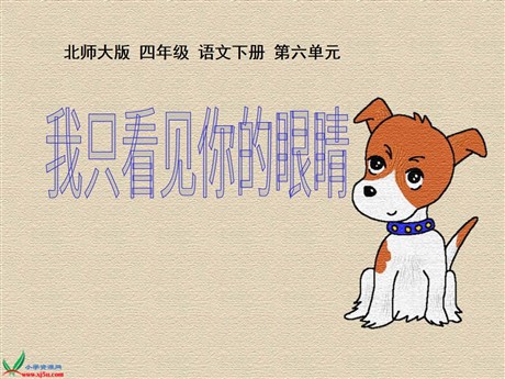 《我只看见你的眼睛》PPT课件