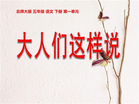 《大人们这样说》PPT课件