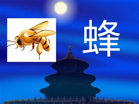 《蜂》PPT课件