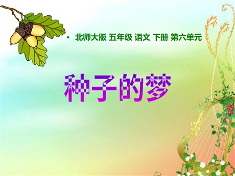 《种子的梦》PPT课件