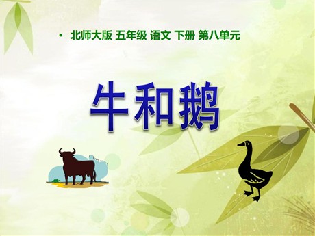 《牛和鹅》PPT课件2