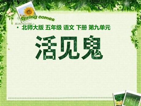 《活见鬼》PPT课件2