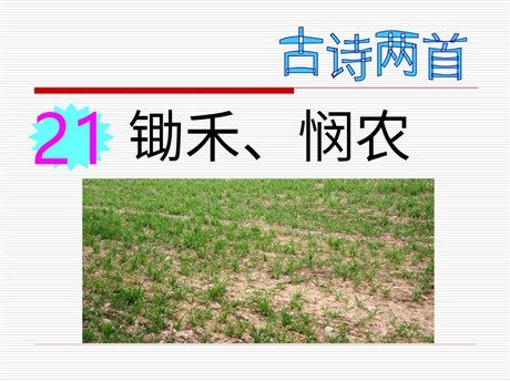 古诗两首《锄禾》《悯农》PPT课件