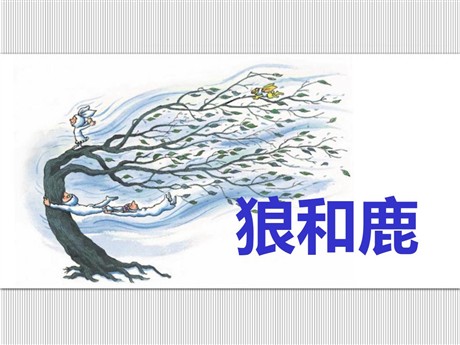 《狼和鹿》PPT课件