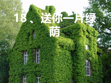 《送你一片绿荫》PPT课件2