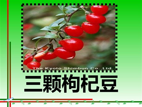 《三颗枸杞豆》PPT课件