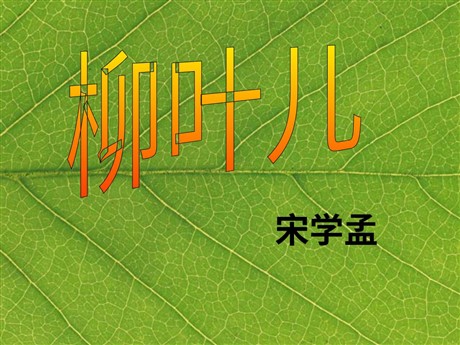 《柳叶儿》PPT课件