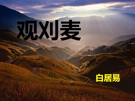 《观刈麦》PPT课件