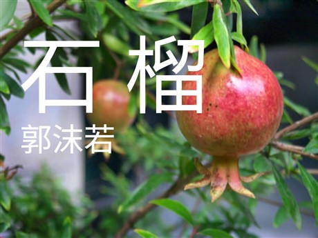 《石榴》PPT课件4